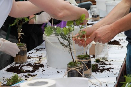 Fragment "Dzień Dziecka naturalnie!"